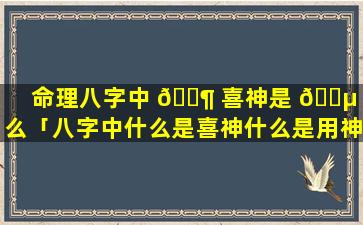 命理八字中 🐶 喜神是 🐵 什么「八字中什么是喜神什么是用神」